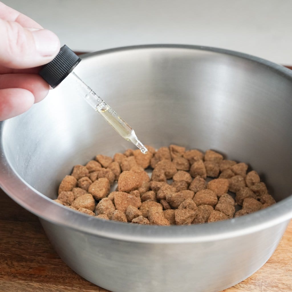 VetCS CBD oil for dogs added to dog food