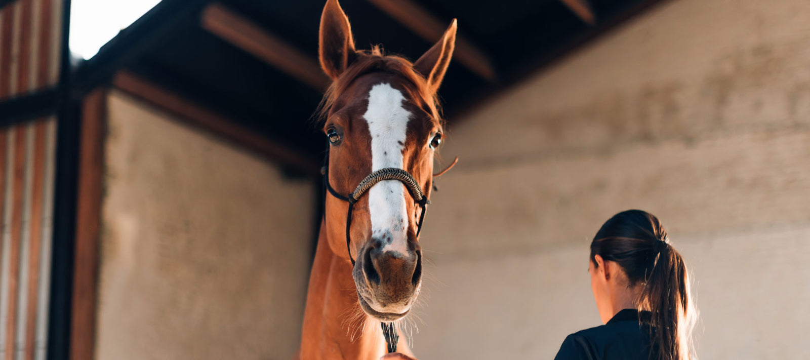 women with horse in barn