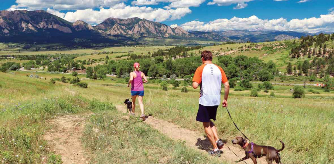 Photo of man and women walking dogs in mountains