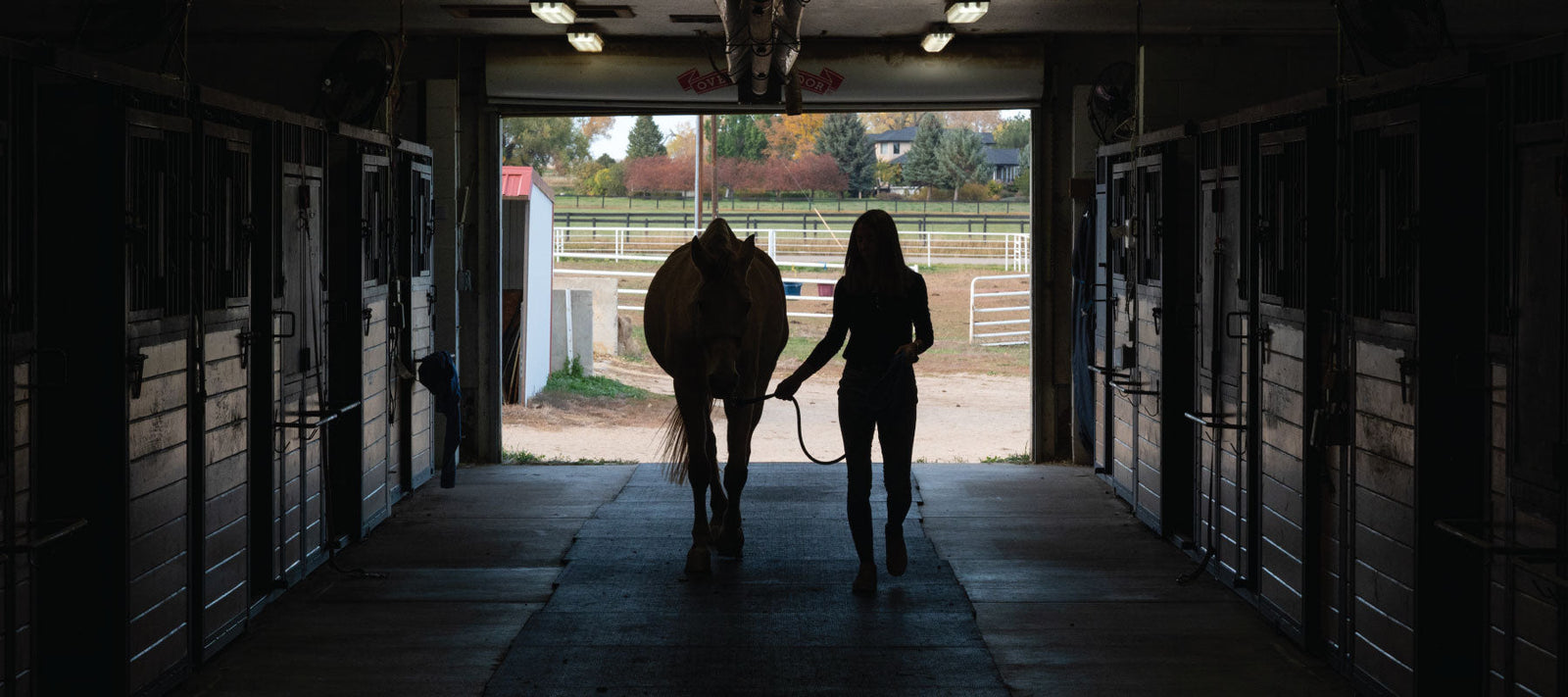 Dr. Chelsea Luedke walking a horse in a dark stall
