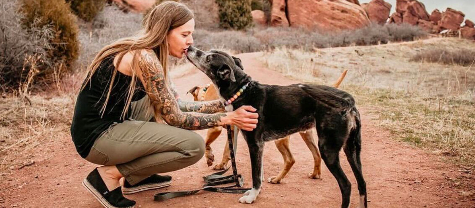 Tips For Helping An Anxious Dog