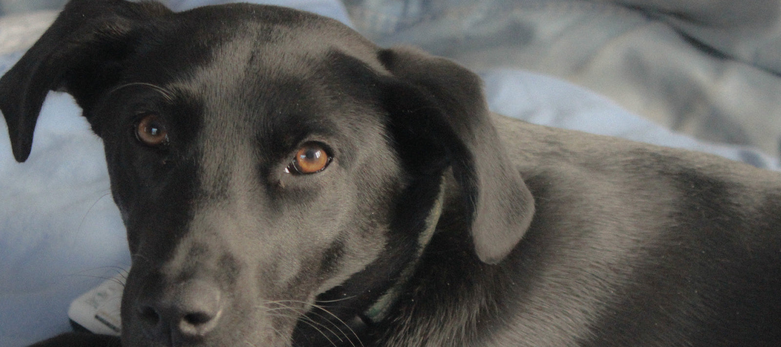 Grace sitting on a bed looking at the camera