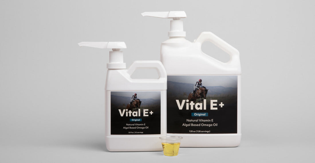 Does my horse need Vitamin E and Omega Oils?
