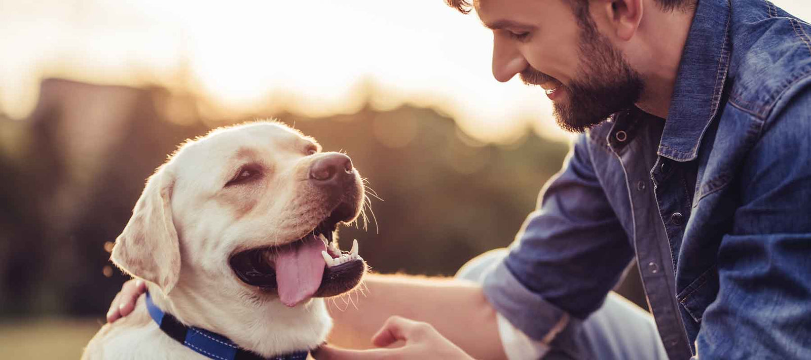 image of a man with dog 
