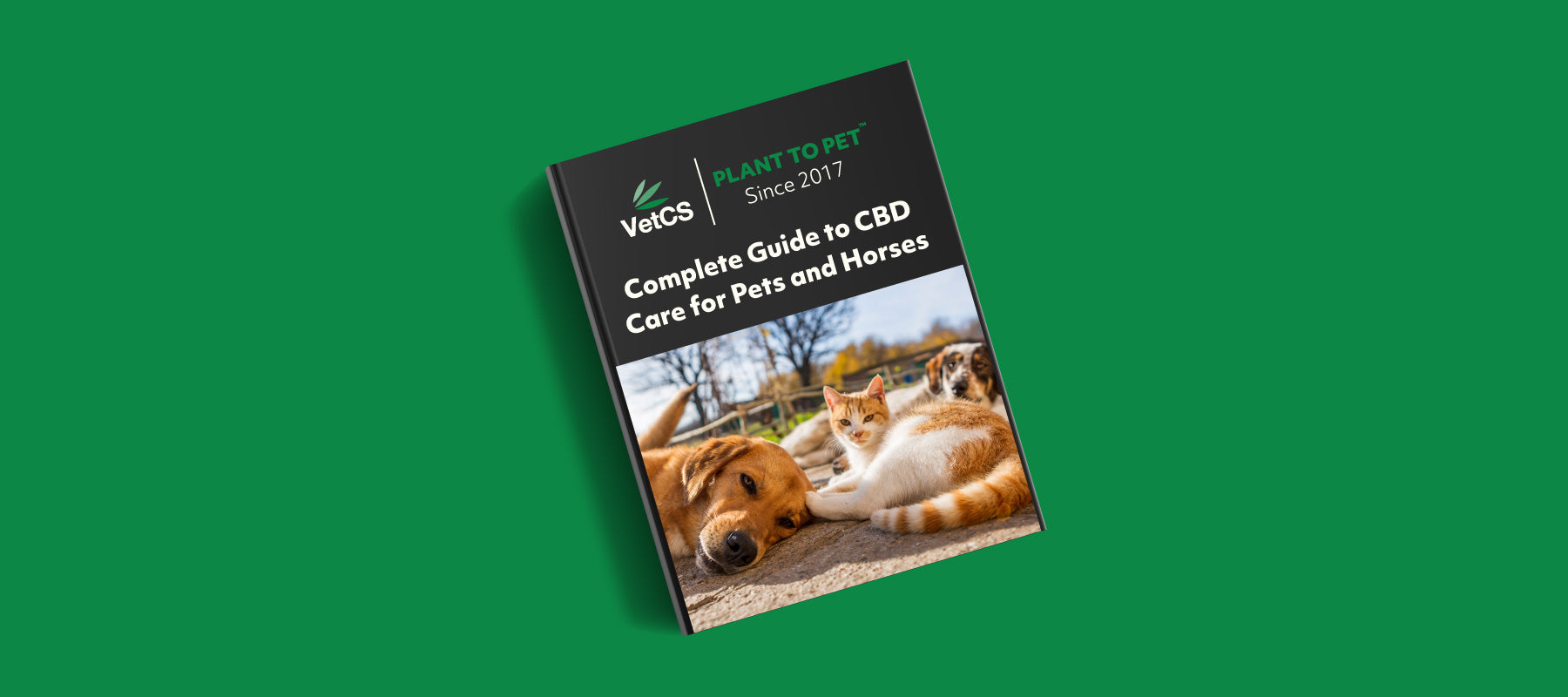 Complete Guide to CBD Care for Pets and Horses 