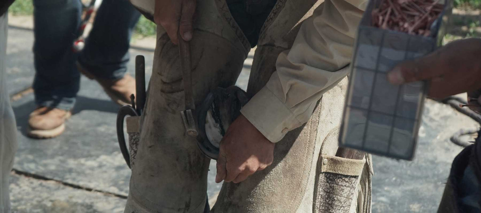 How to train your horse to stand for the farrier VetCS Blog