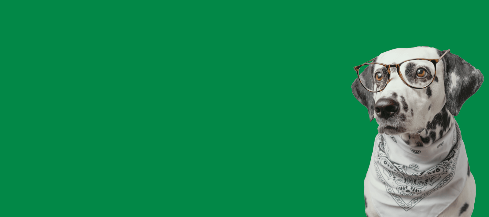 What is cannabis extraction 