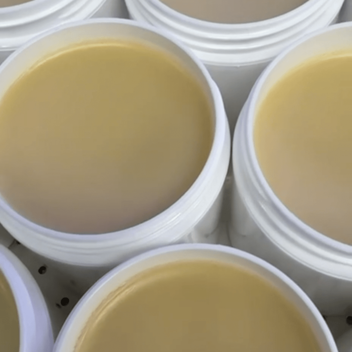 EquiRelief Horse Ointment