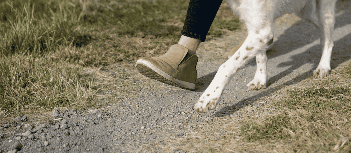 Why the Nose & Toes Relief Balm for Dogs