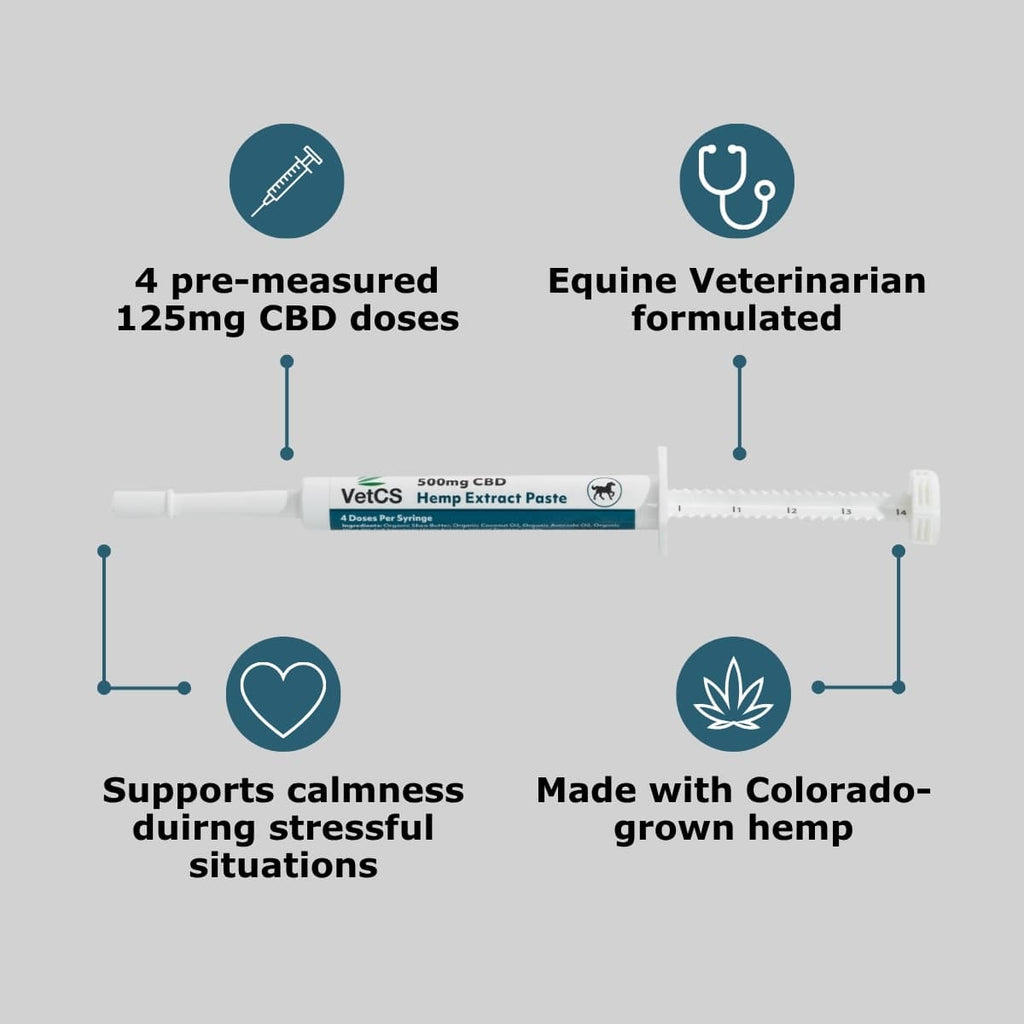 VetCS hemp extract paste for horses infographic with product syringe and gray background