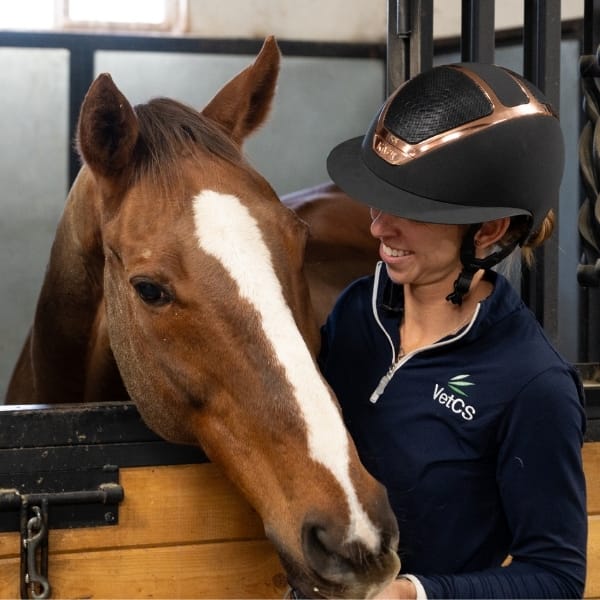 Woman in equestrian attire interacting with a horse in a stable.