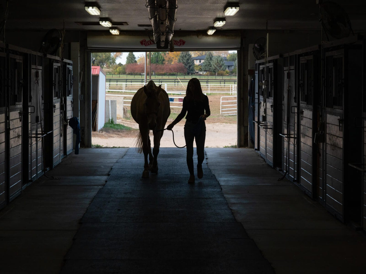 Dr. Chelsea Luedke walking a horse into a dim barn with doors open