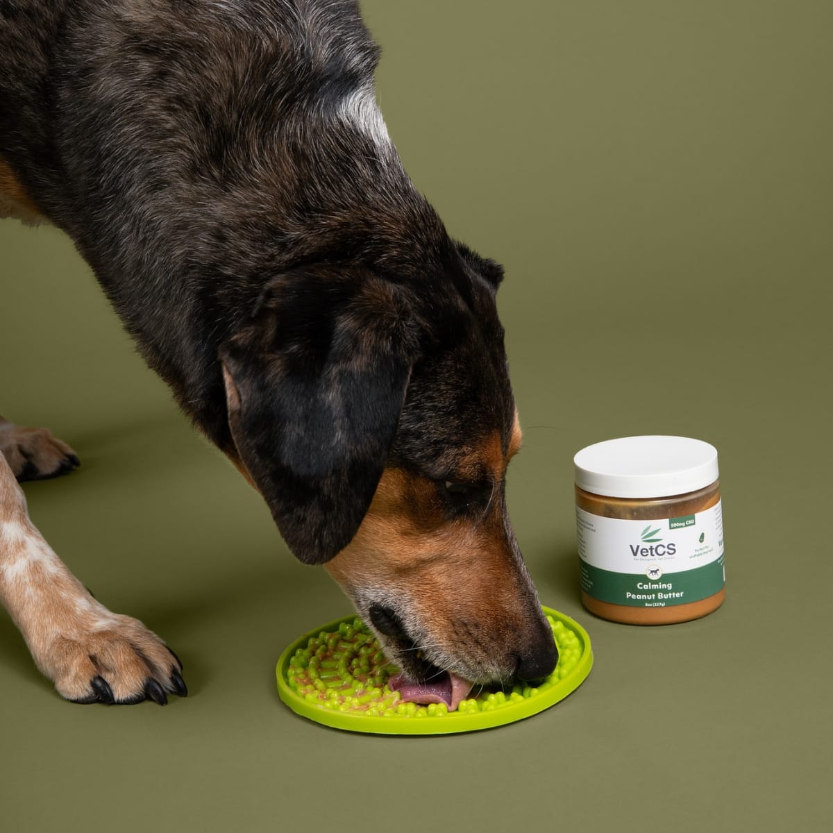 VetCS calming peanut butter on lick mat with black and brown dog eating it