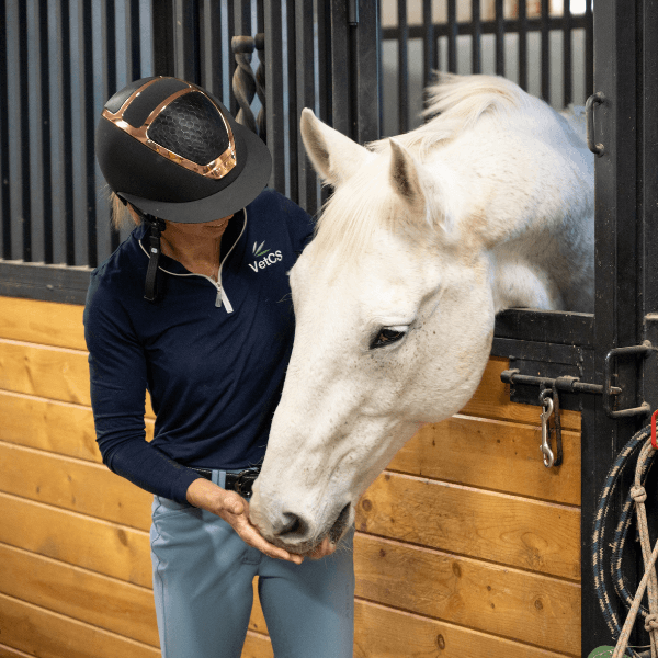 VetCS CEO feeding white horse in stable