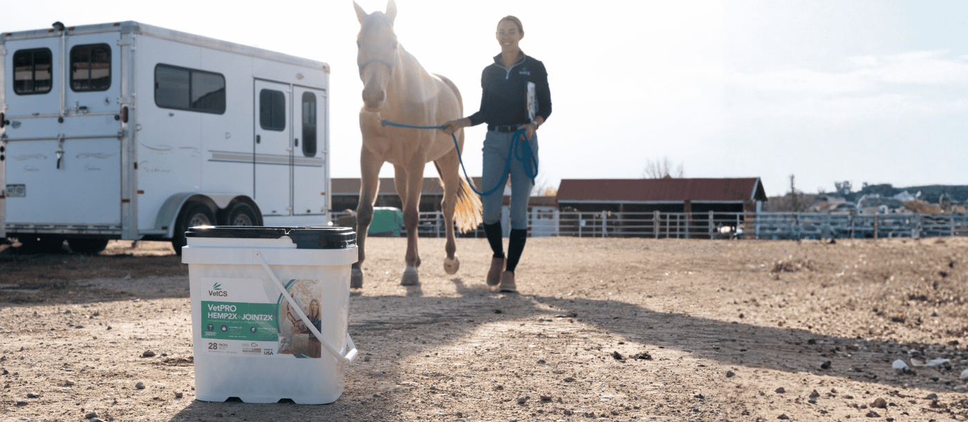 Chelsea Luedke walking tan horse outside towards the VetCS VetPRO Horse Pellets.