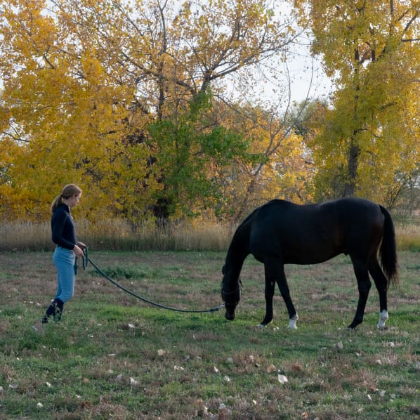 Chelsea walking a horse in a field with trees in the background