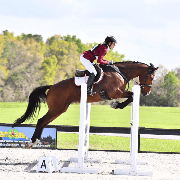 Horse outside jumping in competition