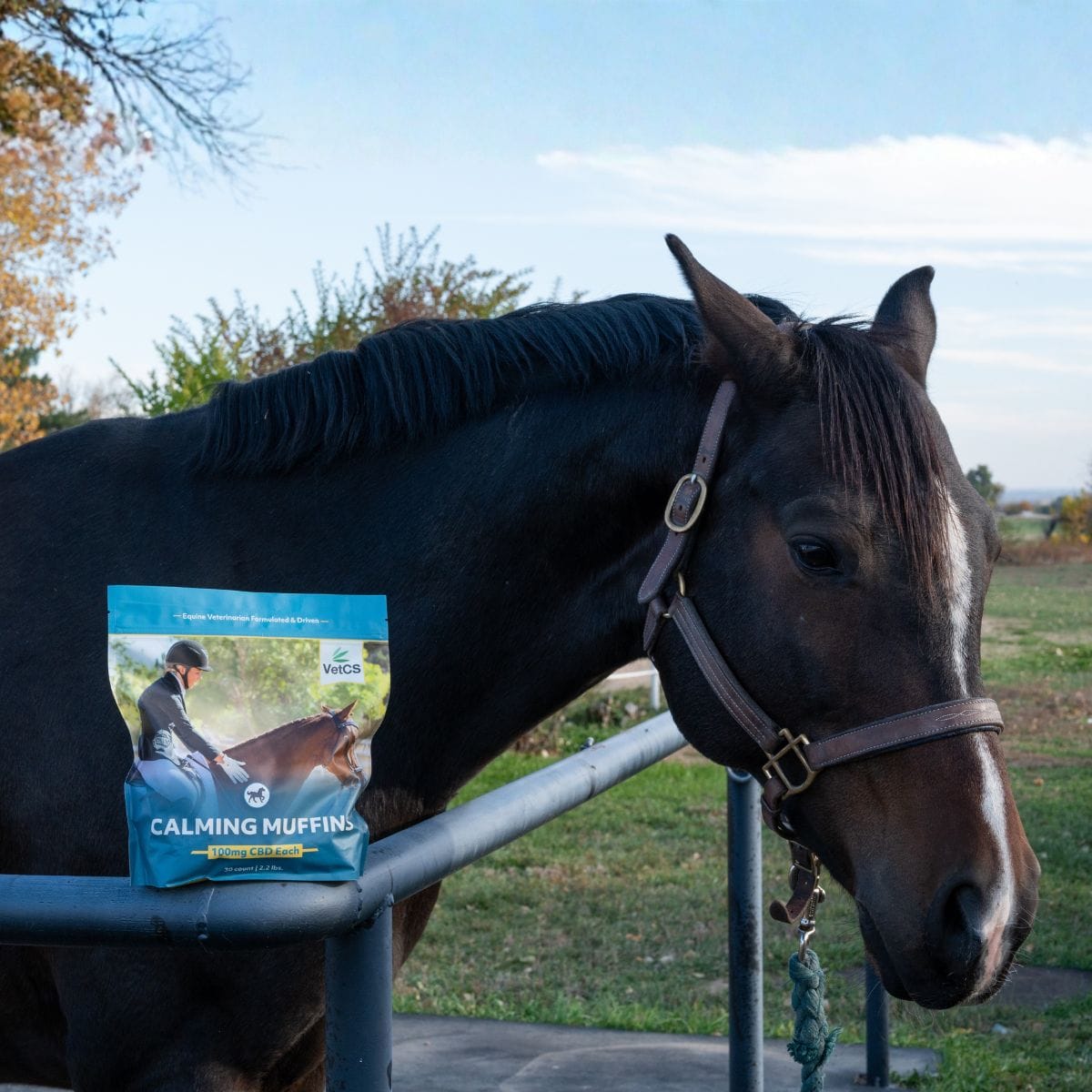 Black horse behind  VetCS horse calming muffins