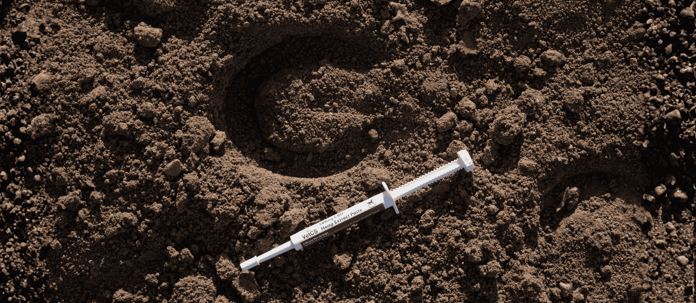 VetCS Hemp Extract Paste on ground next to horse shoe print. 