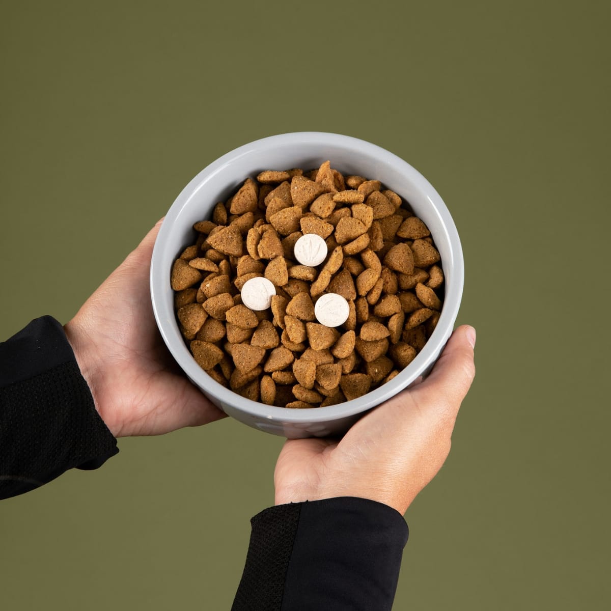VetCS joint support chewable tablets in bowl of dog food with green background