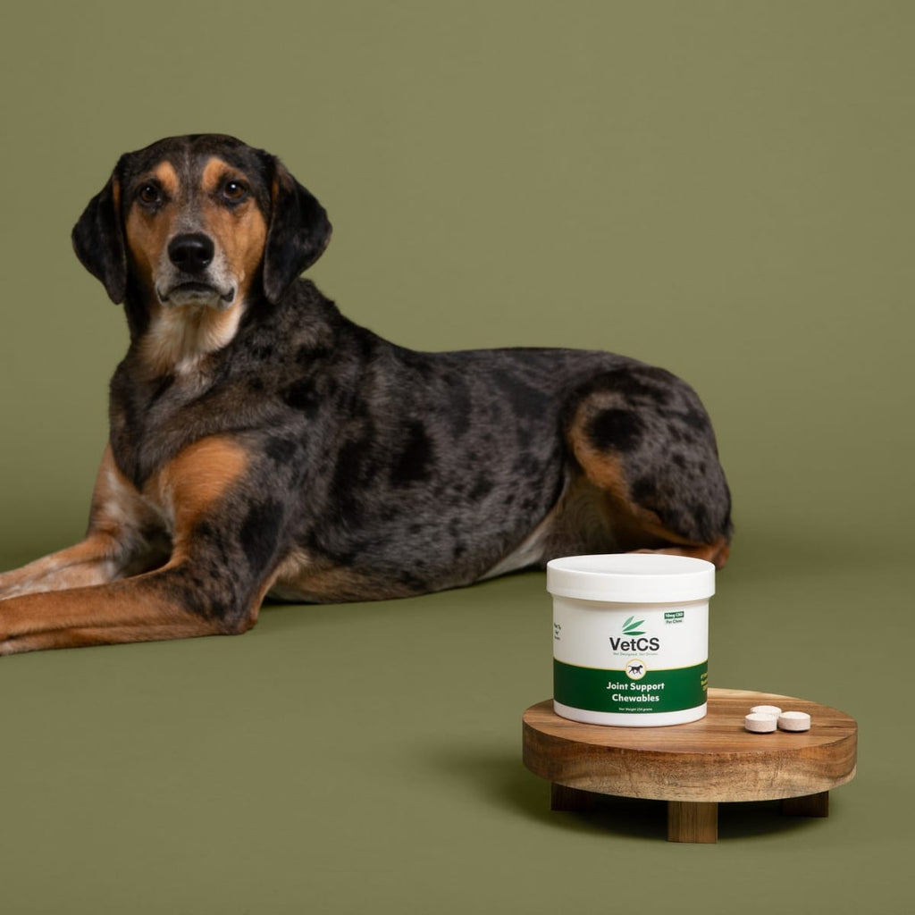 VetCS Joint Support Chewables with dog laying down behind and green background