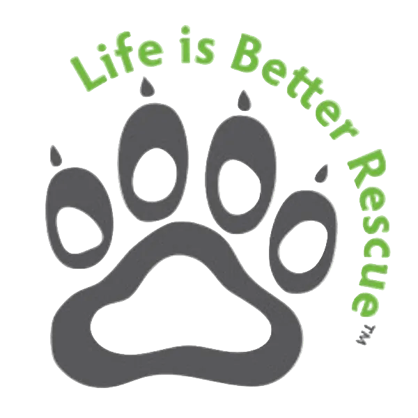 Life is Better Rescue