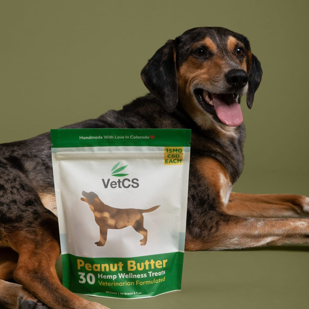 VetCS peanut butter hemp wellness treats with dog behind and a green background