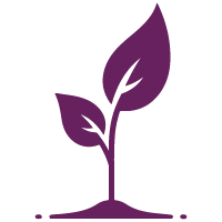 Purple seedling sprouting icon
