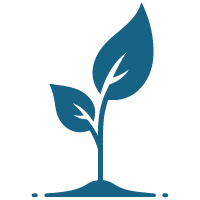 Plant seedling blue icon 