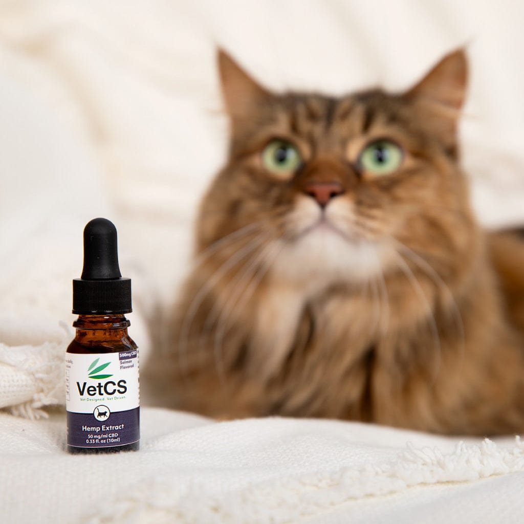 CBD for cats salmon flavored tincture