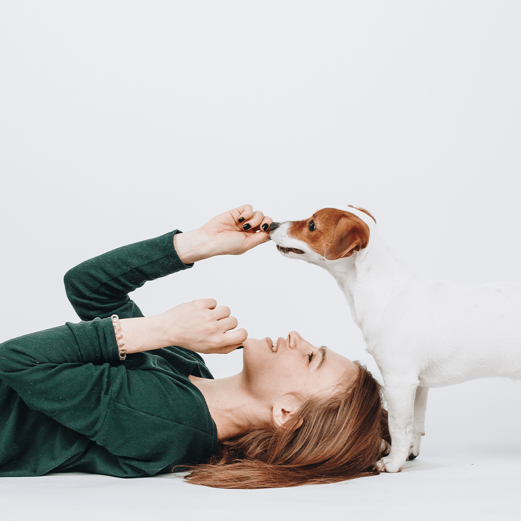 Happy dog with their owner — VetCS success stories from real customers