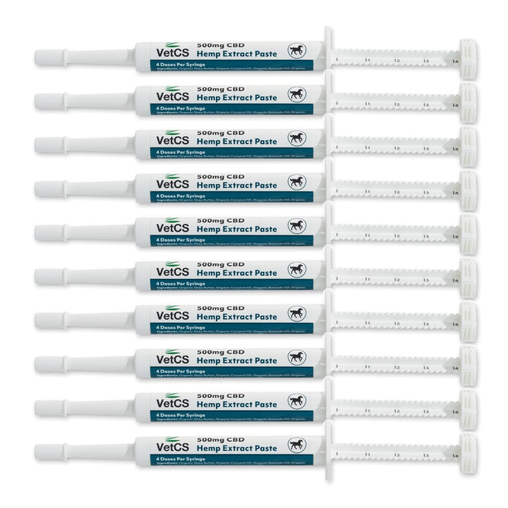 10 pack VetCS CBD Horse Paste 500mg per syringe