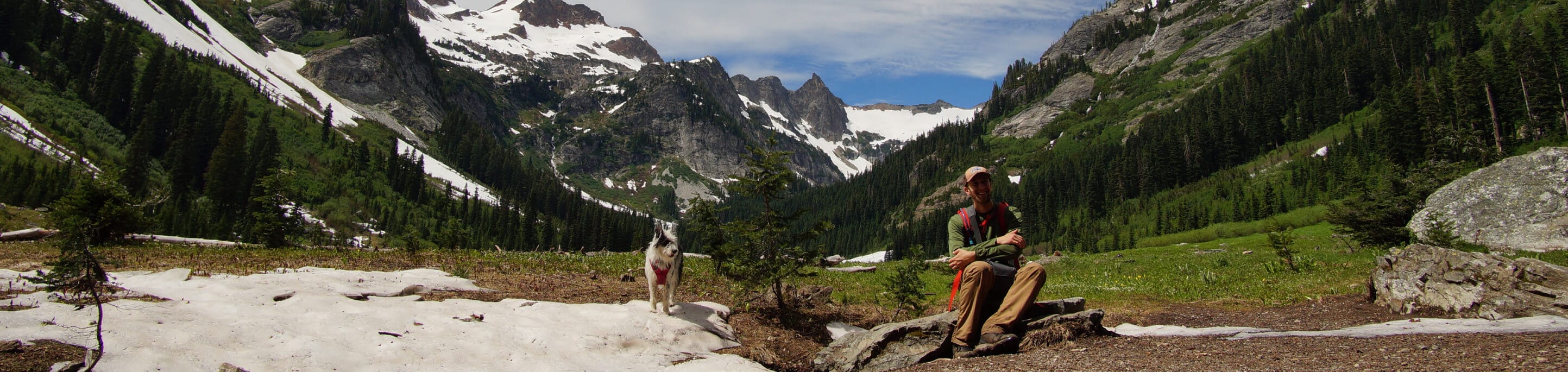 Hiker and dog in a mountainous landscape with snow-capped peaks and greenery.