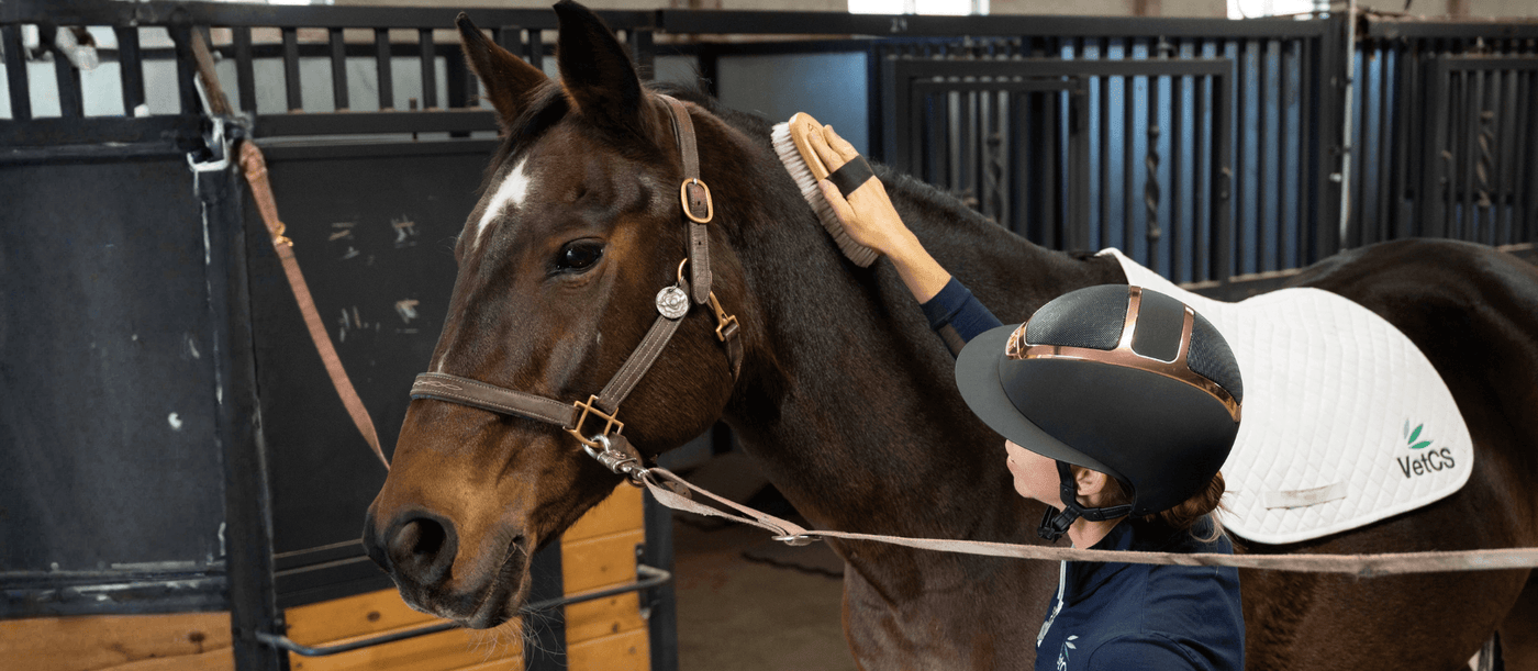 Why VetCS Vital E+ Omega Oil for horses? 