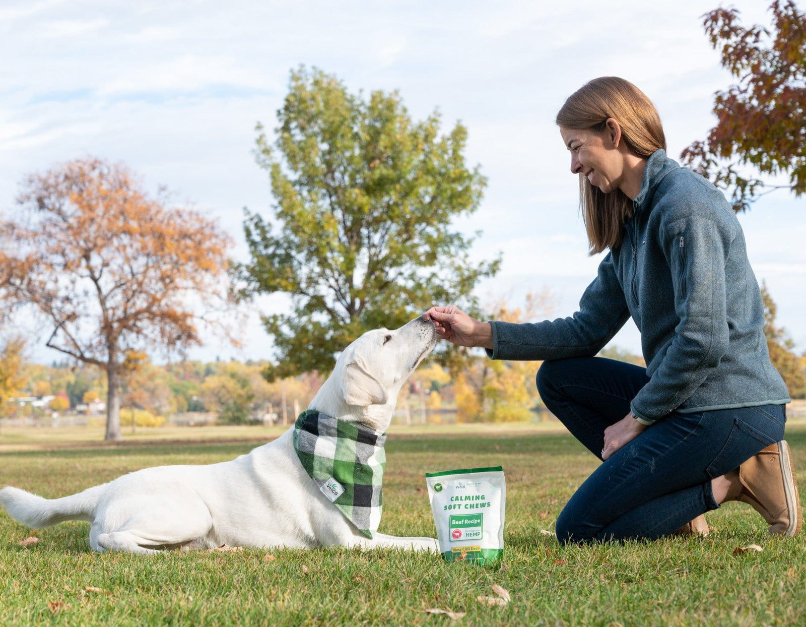 Dr. Chelsea Luedke kneeling on grass with a white dog wearing a green checkered bandana, both looking at a bag of VetCS CBD calming chews for dogs. 