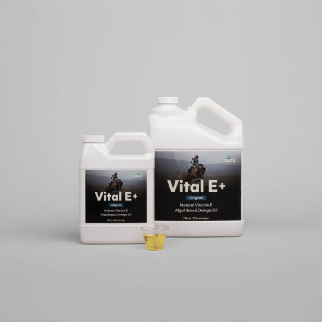 Vital E+ Omega Oil and Vitamin E for Horses