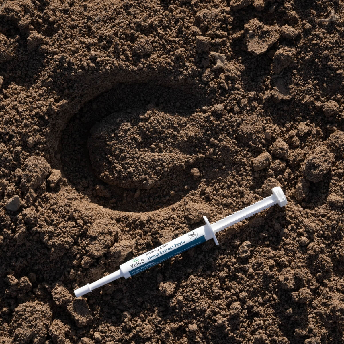500mg CBD Paste for Horses | Accurate Dosing for Equines – VetCS