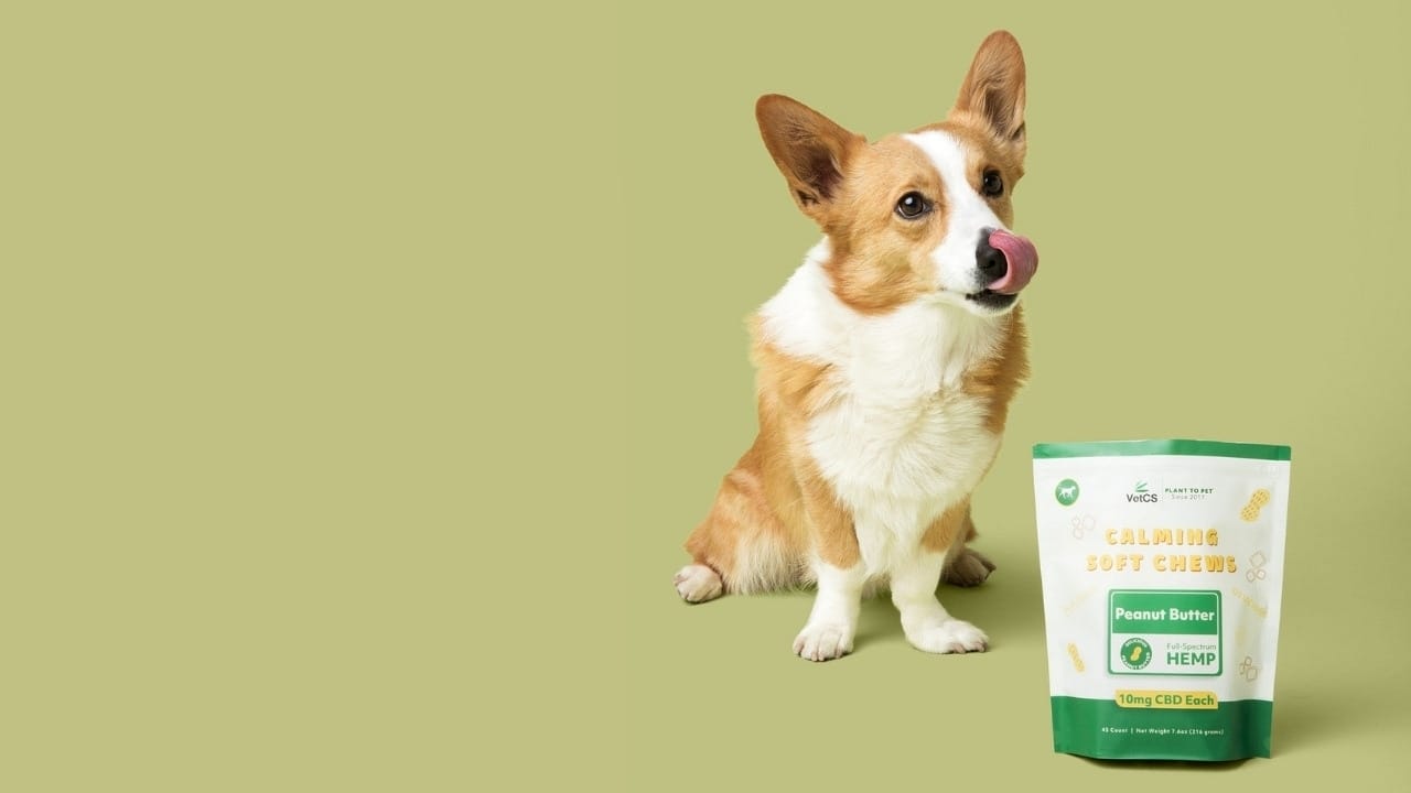 Why the Calming Soft Chews For Dogs