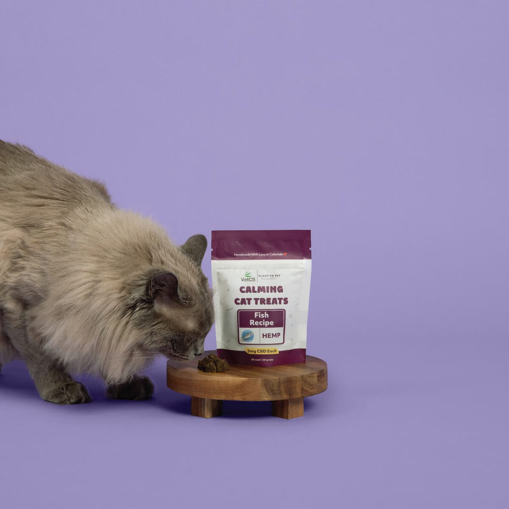 Cat leaning over smelling the Calming cat treats on a small table