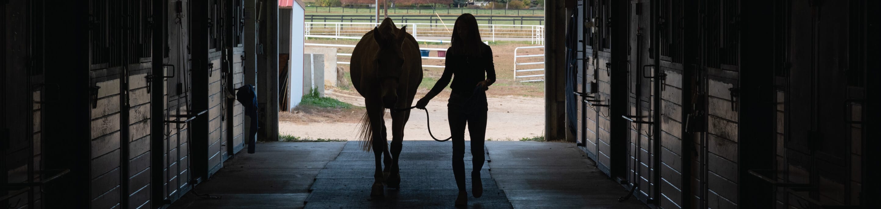 Dr. Chelsea Luedke leading a horse out of a stable
