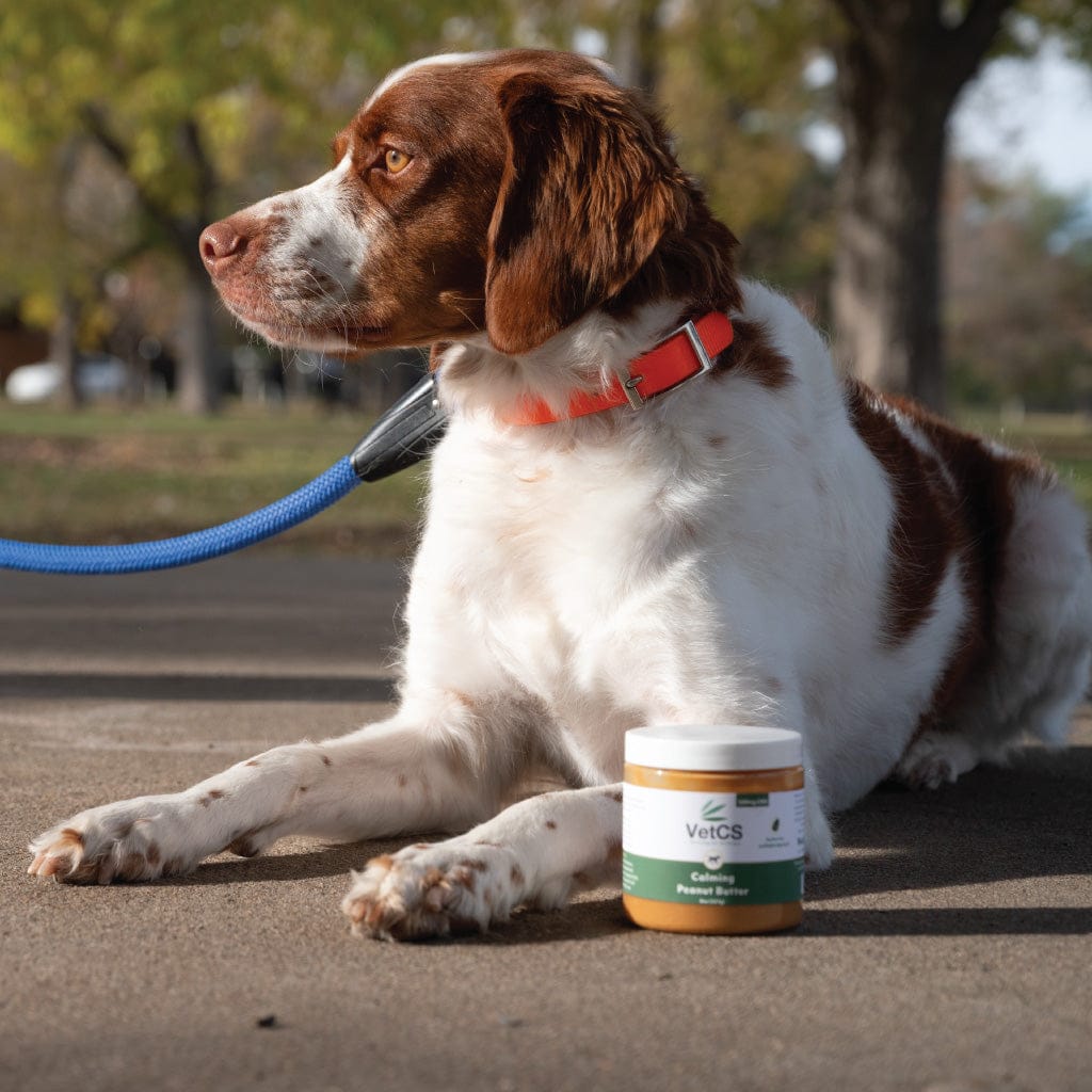 Dog sitting on a path with a jar of Vets Choice Peanut Butter in front of it