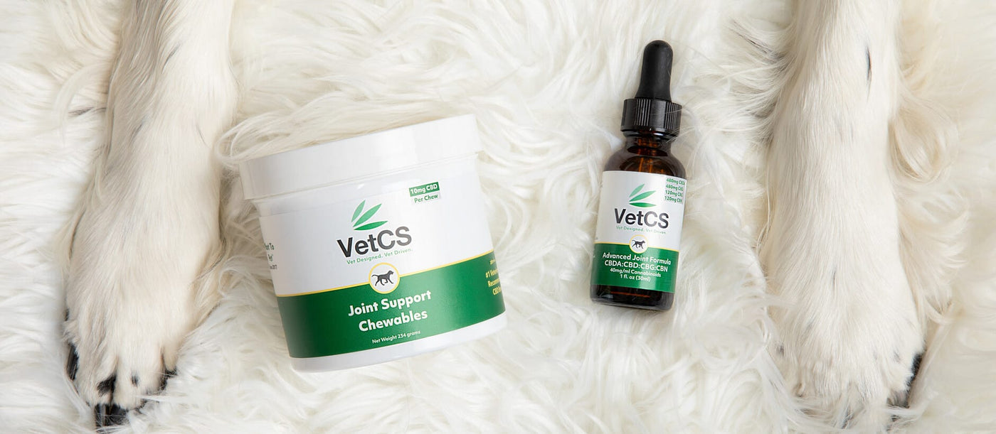 VetCS Joint support chewables and advanced joint formula laying on a white rug with two dog paws. 