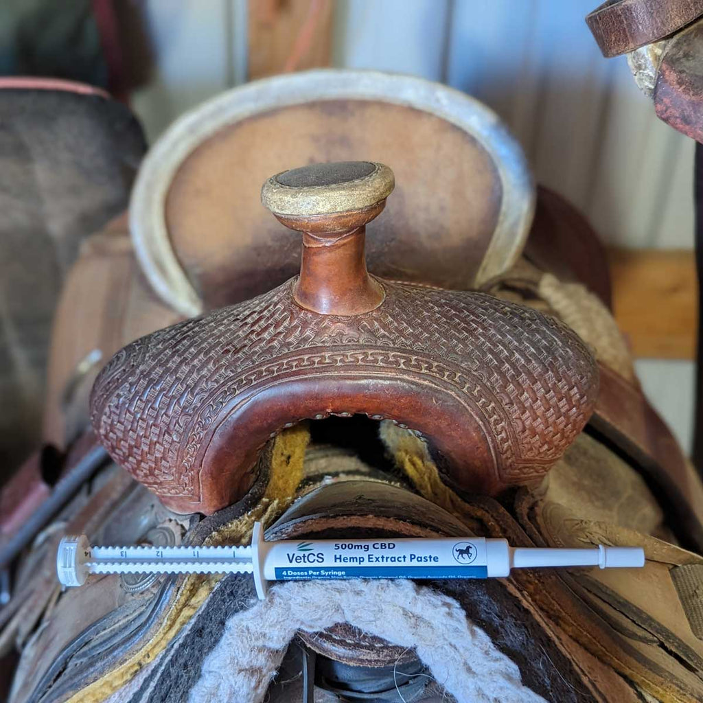 VetCS Horse Paste Syringe sitting on a horse saddle 