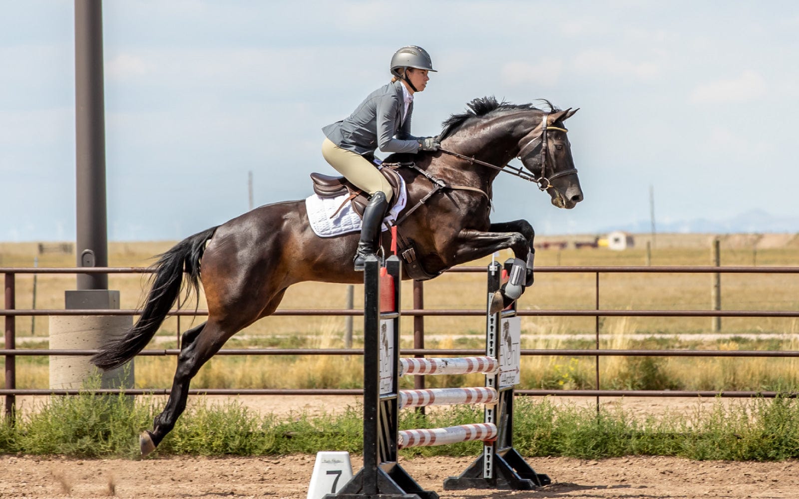 Women Horse rider jumping over Log fence in outdoor horse ring. 
