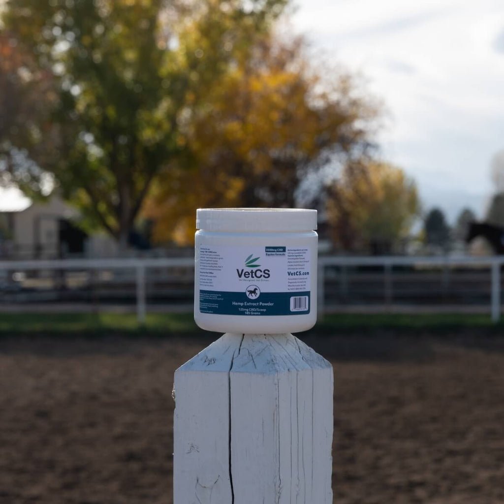VetCS horse hemp extract powder balancing on fence at a farm