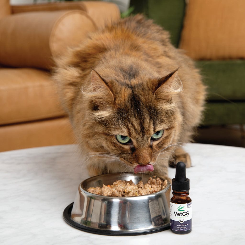 Cat eating from a bowl with a bottle of VetCS product on a table.