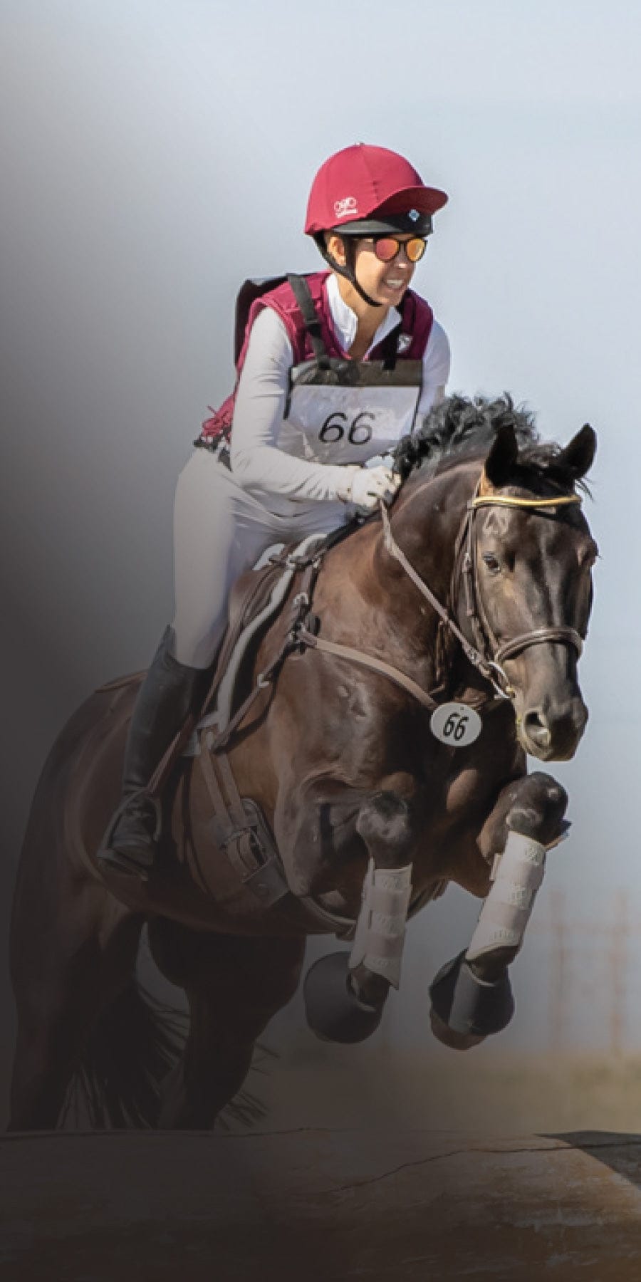 Jockey on a horse during a race with a plain background