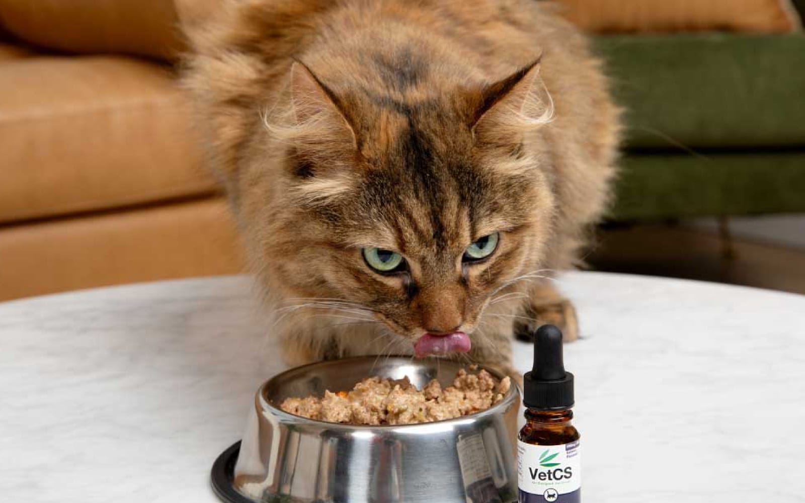 brown and black cat eating soft food with a bottle of VetCS CBD oil for cats next to the bowl. 