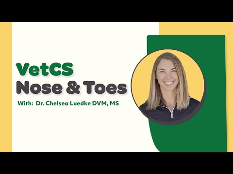 VetCS nose & Toes product video