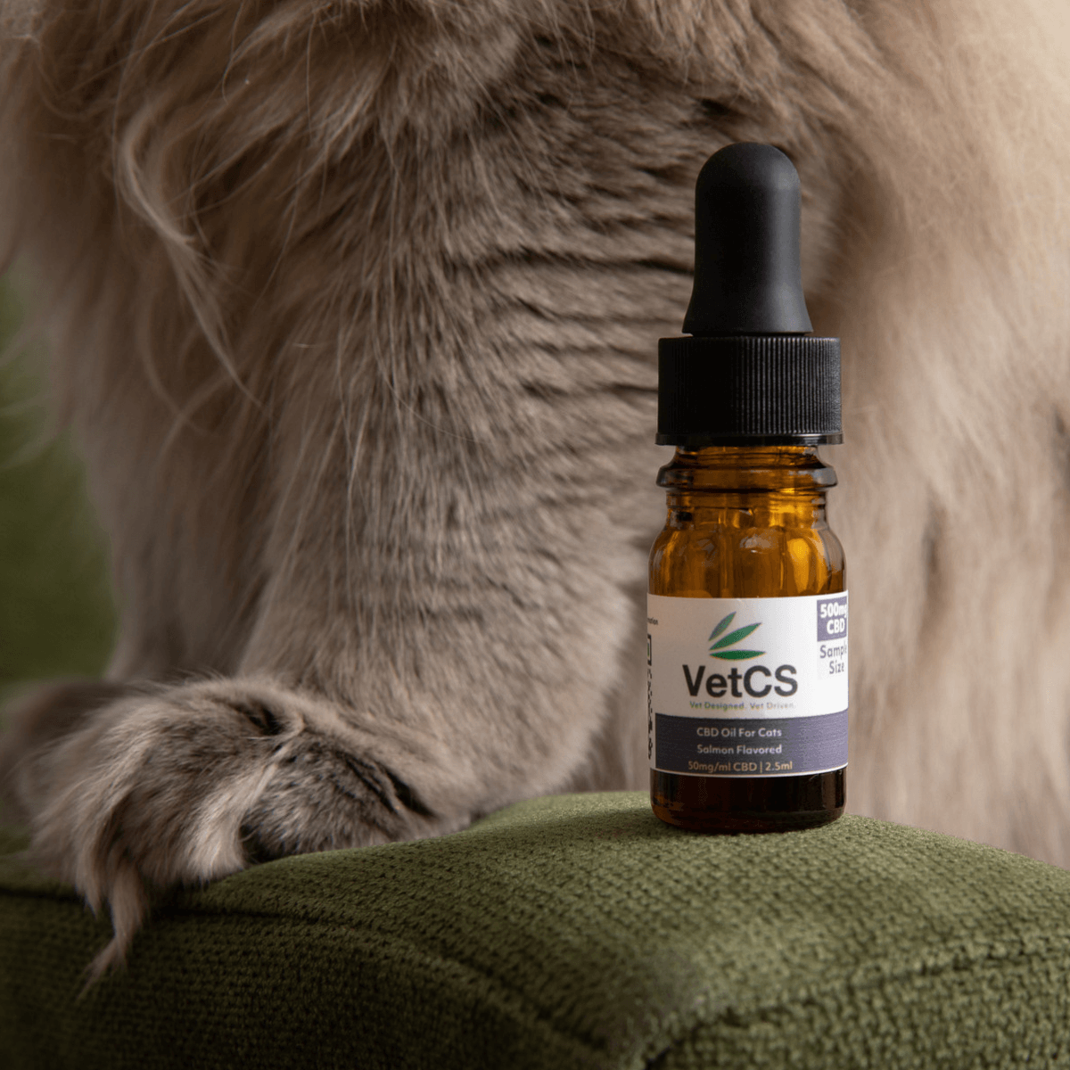 VetCS sample size CBD oil for cats salmon flavored tinctured with cat paw in background